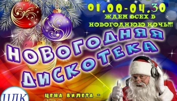 «Новогодние ритмы» ночная новогодняя дискотека.