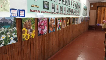 «Красота своими руками» выставка декоративно - прикладного искусства