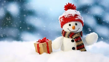 НОВОГОДНИЕ ЧУДЕСА С ДЕДОМ МОРОЗОМ И СНЕГУРОЧКОЙ