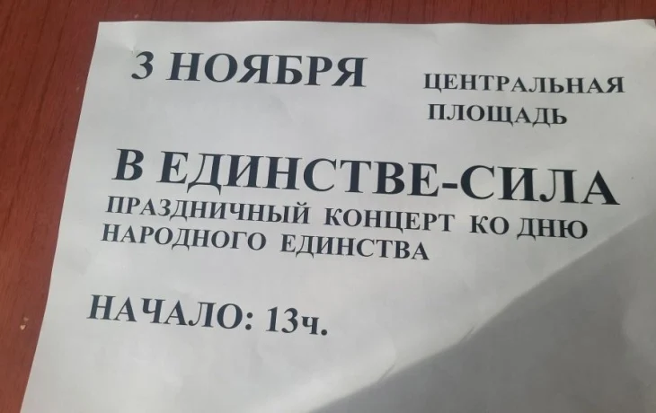 "В ЕДИНСТВЕ СИЛА"- праздничный концерт