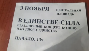 "В ЕДИНСТВЕ СИЛА"- праздничный концерт