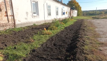 Благоустройство территории сельского Дома культуры силами работников культуры. Благоустройство территории сельского Дома культуры силами работников культуры.