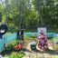 #80ЛЕТПОБЕДЫ  Торжественное возложение венков к Братским  могилам советских солдат. 6