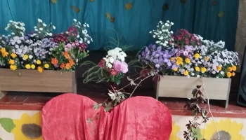 "Согреем музыкой сердца "Согреем музыкой сердца