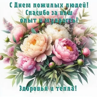 "Возраст жизни не помеха" Выездной концерт в Дом ветеранов с. Воротынцево.