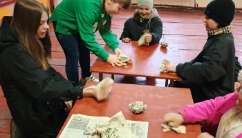 Игровая программа Игровая программа