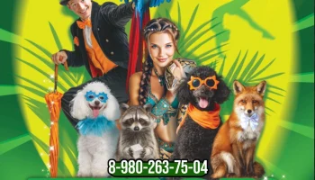 29 ноября на сцене ДК выступит Цирк «Экзотик Шоу»?