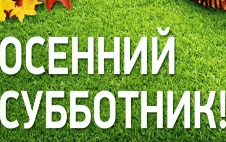 "Путь к чистоте и порядку". Осенний субботник.